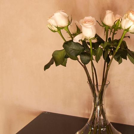 Rosas & Xocolate Boutique Hotel And Spa Merida, A Member Of Design Hotels Exteriör bild